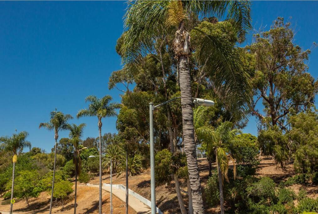 Cozy Studio Next To San Diego Dt And Balboa Park Eksteriør bilde